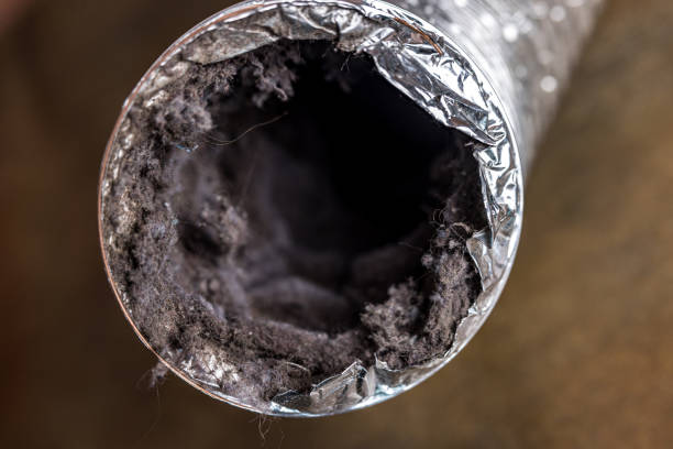 Best Home Air Vent Cleaning  in Santa Clara, CA